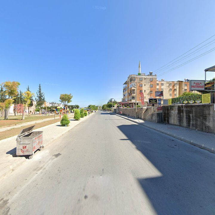 Fotoğraf 5