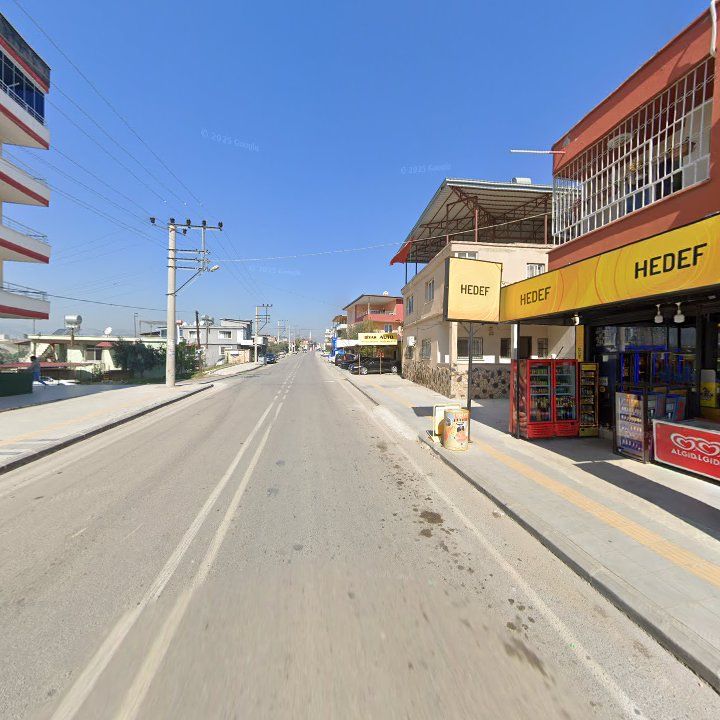 Fotoğraf 3