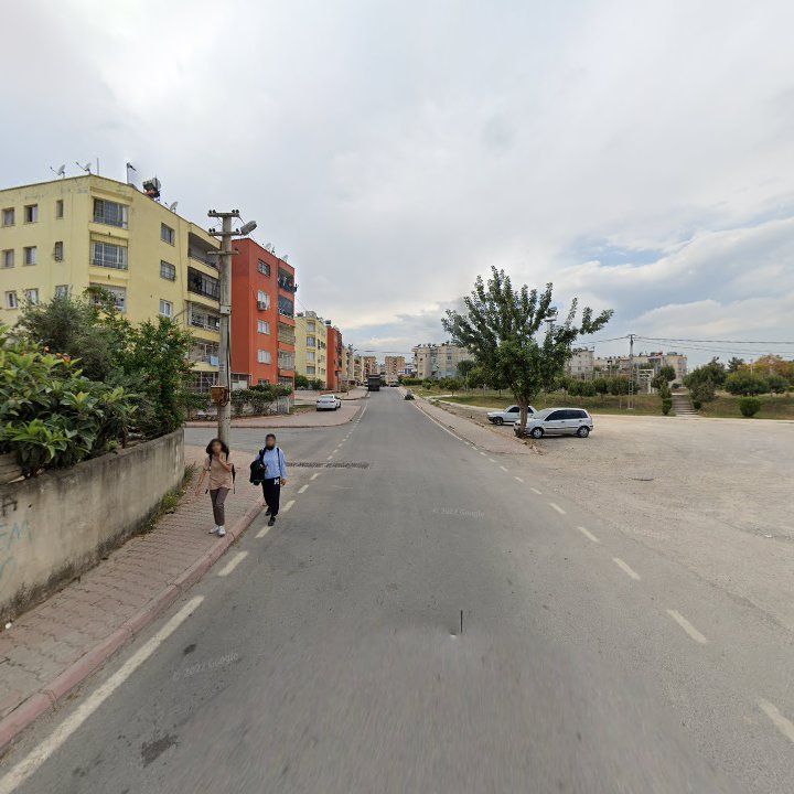 Fotoğraf 3