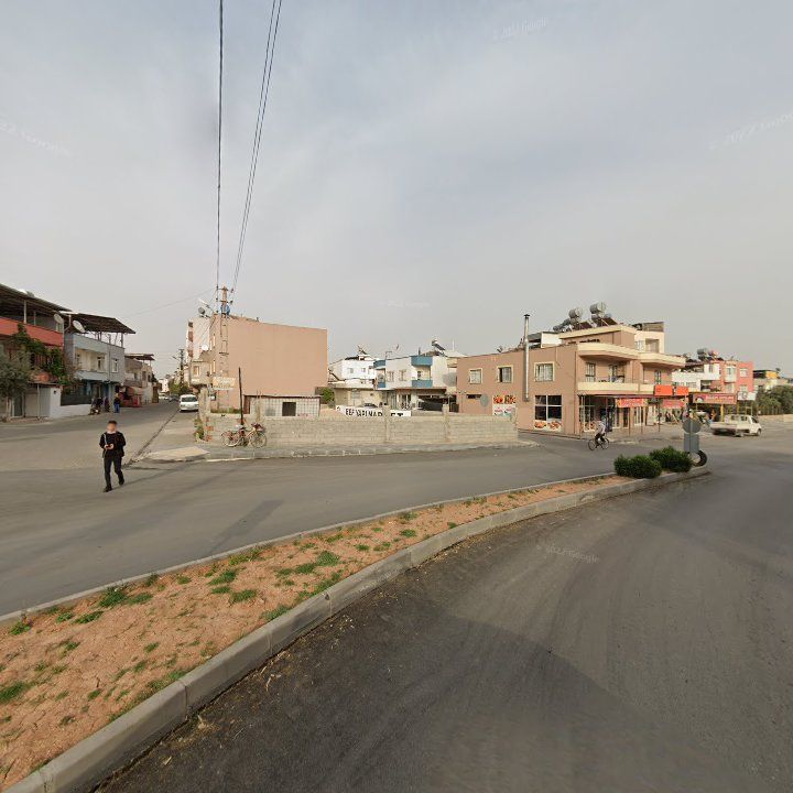 Fotoğraf 3