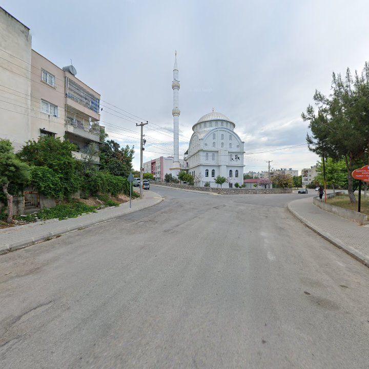 Fotoğraf 2