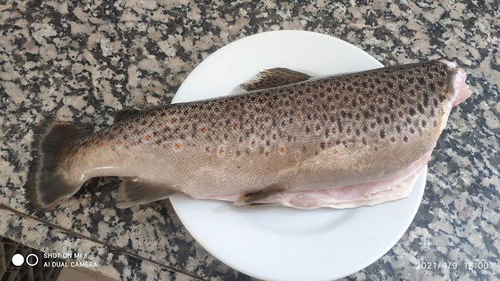 Gülaçar Alabalık Tesisleri Necmi Dayı'nın Yeri