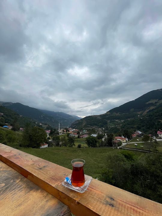 Yorum fotoğrafı 2