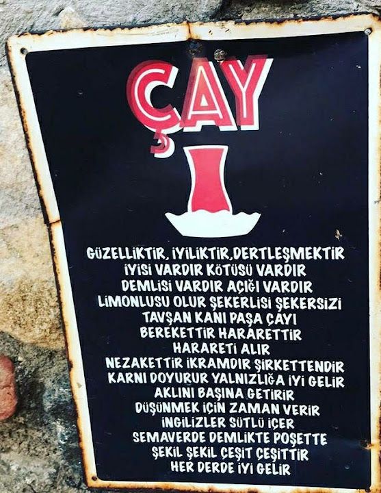Fotoğraf 33