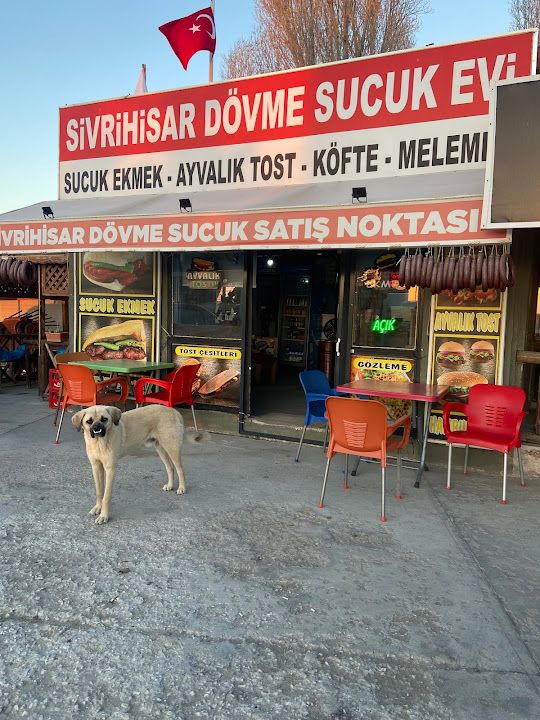 Yorum fotoğrafı 2