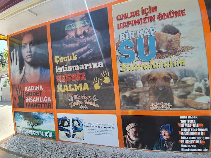 Yorum fotoğrafı 4