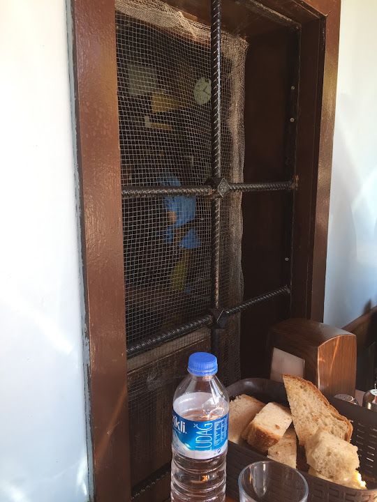 Fotoğraf 20