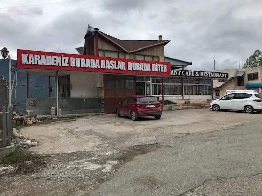 Fotoğraf 13