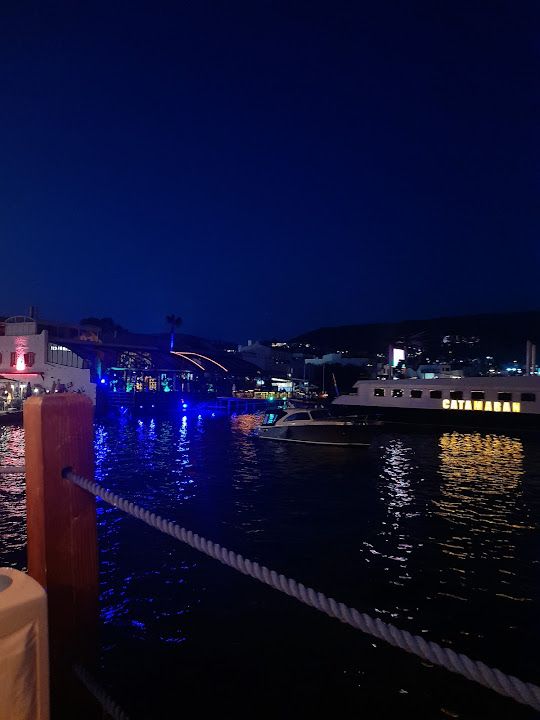 Fotoğraf 55