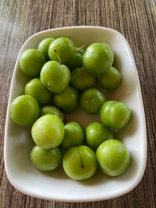 Fotoğraf 34