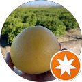 TRAVEL REPORT TURKEY