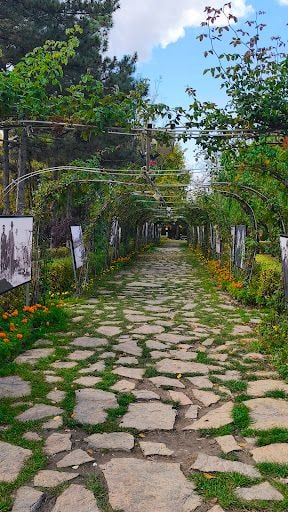 Yorum fotoğrafı 3