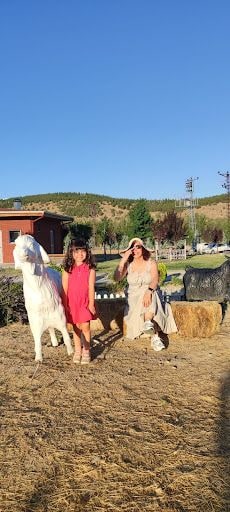 Yorum fotoğrafı 9