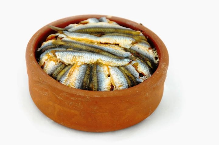 Fotoğraf 14
