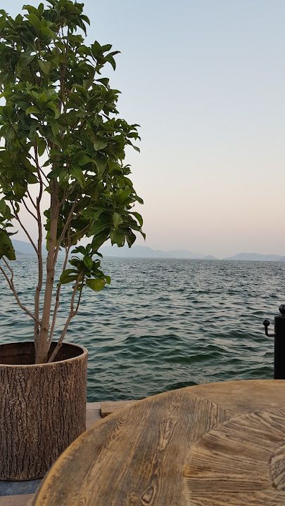 Fotoğraf 49