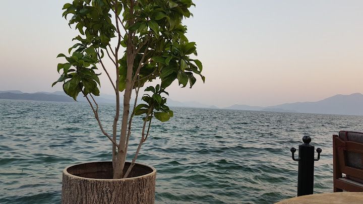 Fotoğraf 48