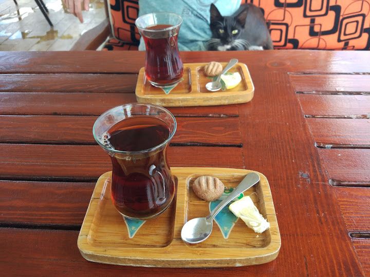 Fotoğraf 50