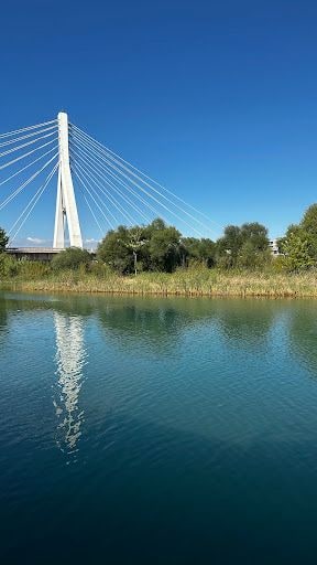 Yorum fotoğrafı 5