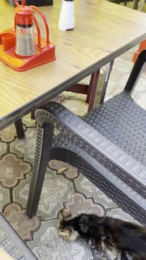 Yorum fotoğrafı 6