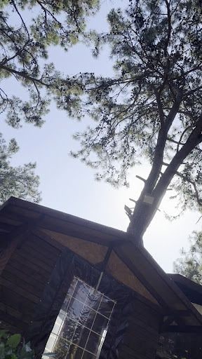 Yorum fotoğrafı 8