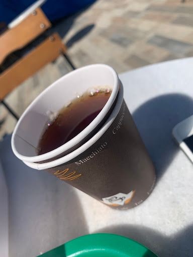 Fotoğraf 17