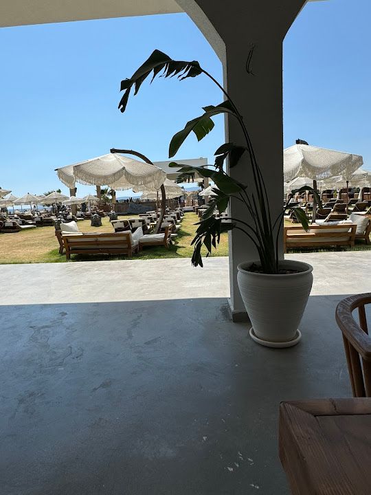 Fotoğraf 49