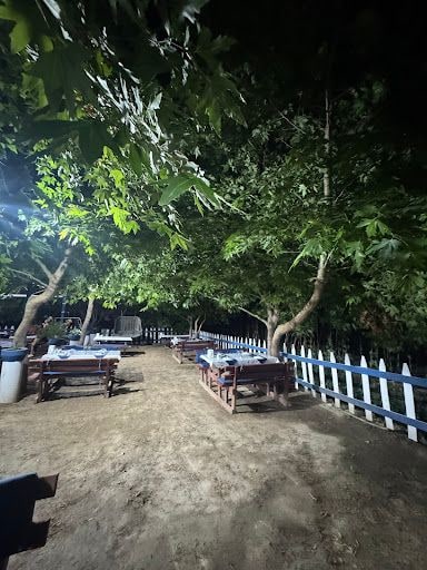 Fotoğraf 16