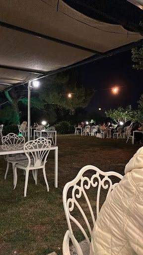 Fotoğraf 12