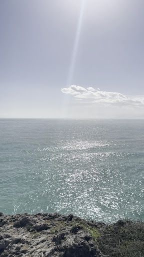 Fotoğraf 21