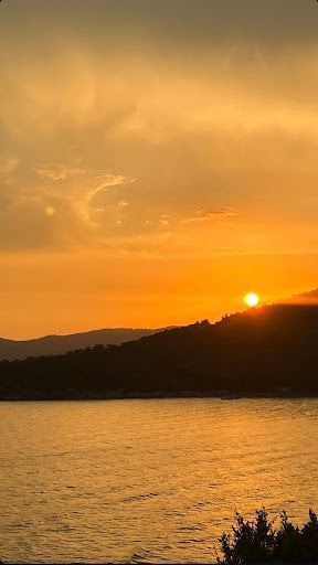 Fotoğraf 17