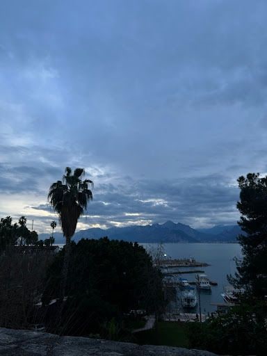 Fotoğraf 17