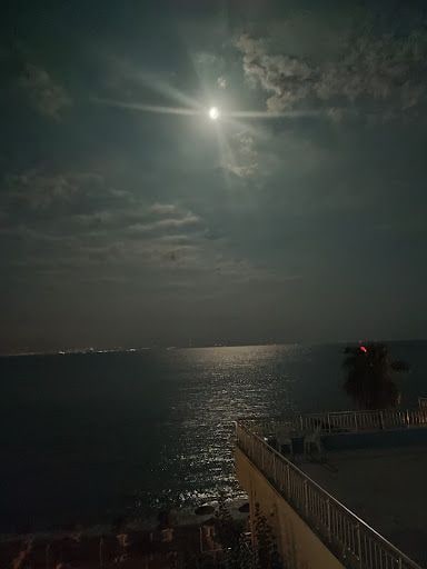 Yorum fotoğrafı 5