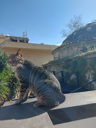 Fotoğraf 19