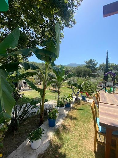 Fotoğraf 20