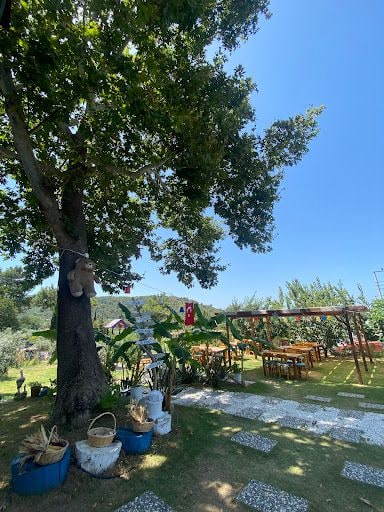 Fotoğraf 21