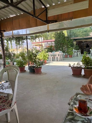 Fotoğraf 17