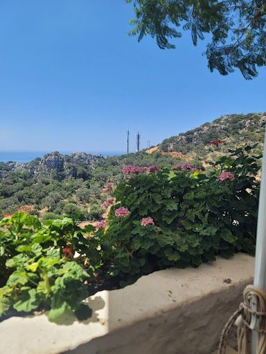 Yorum fotoğrafı 8