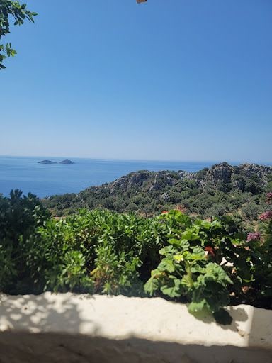 Yorum fotoğrafı 9