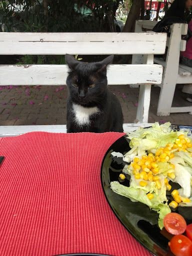 Yorum fotoğrafı 2