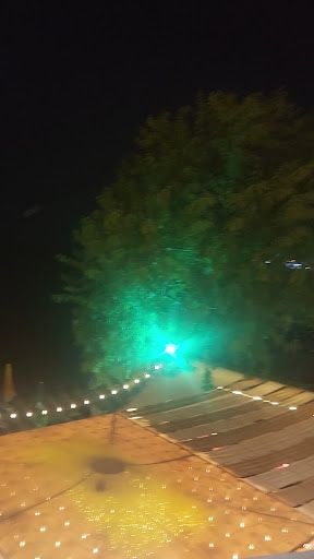 Fotoğraf 12