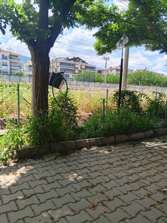 Fotoğraf 12