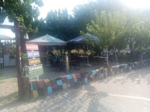 Fotoğraf 16