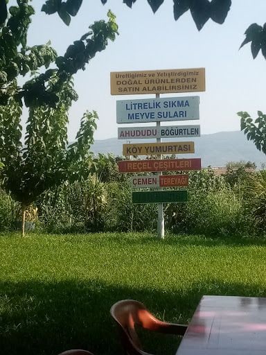 Fotoğraf 19