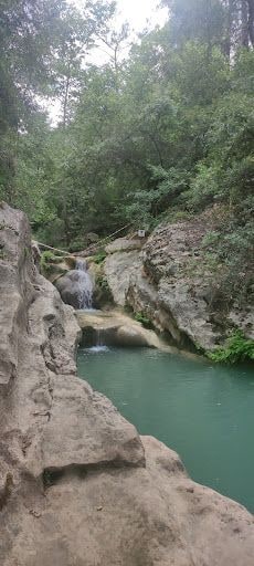 Yorum fotoğrafı 5