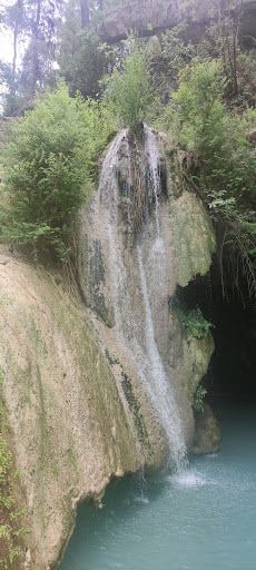 Yorum fotoğrafı 6