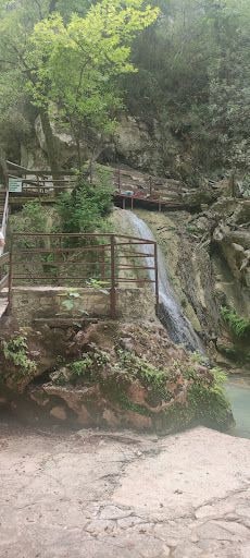 Yorum fotoğrafı 8