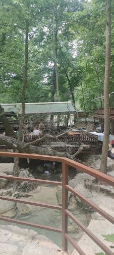 Yorum fotoğrafı 9