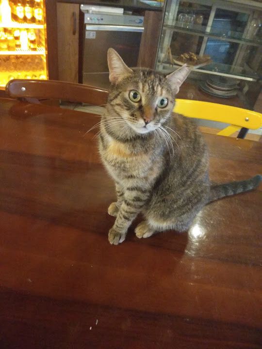 Yorum fotoğrafı 2