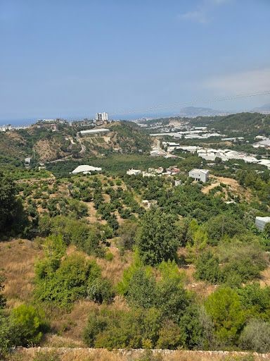 Yorum fotoğrafı 4