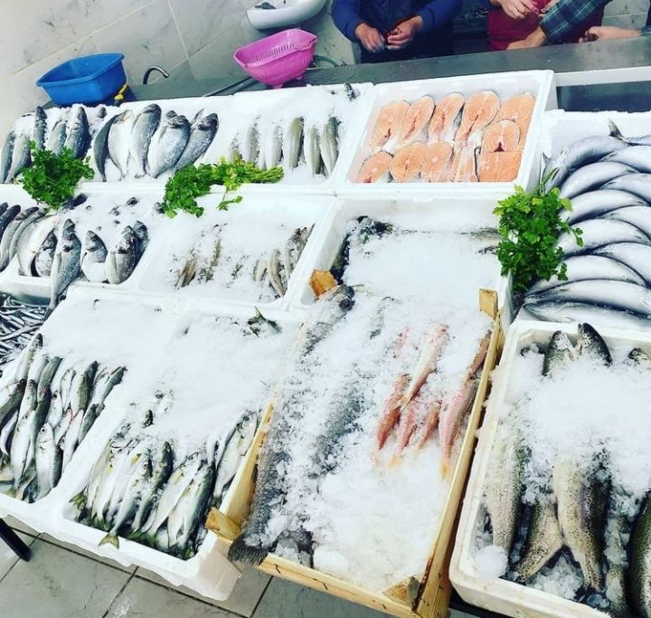 Fotoğraf 16